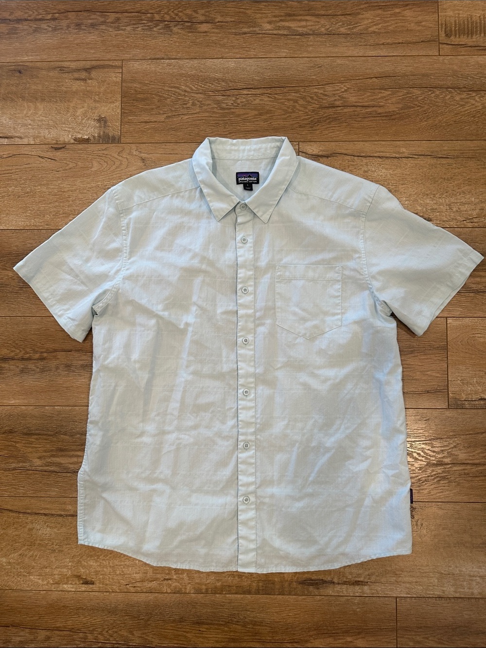 Patagonia Light Blue Short-Sleeve Button-Down Shirt